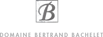 (image for) Domaine Bertrand Bachelet GEVREY CHAMBERTIN 2004 (GL)